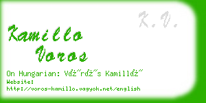 kamillo voros business card